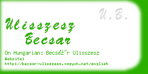 ulisszesz becsar business card